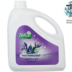 مواد شوینده صحت