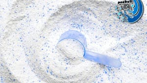 پودر ساگیس