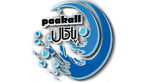 قیمت دستمال کاغذی فانتزی