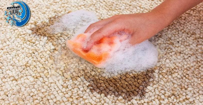 پودر قالیشویی