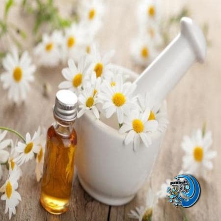 راهنمای تهیه شامپو با عصاره بابونه